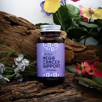Mega Cancer Support 60 capsules